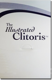 illustrated clitoris illustrated clitoris