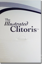 illustrated clitoris